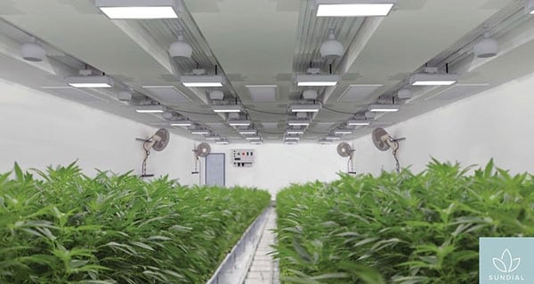 Cannabis company Sundial Growers acquires U.K. company