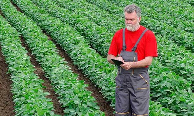 U of A teams up with venture capital firm to advance agricultural innovation