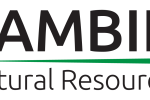 Pambili converts US$250,000 loan to equity, making Kavango Resources Plc a key strategic investor