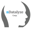 nDatalyze Announces Grant of Stock Options