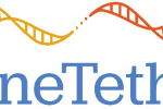 GeneTether Therapeutics Inc. Announces Fiscal Year 2023 Financial Results and Reports on Corporate Highlights